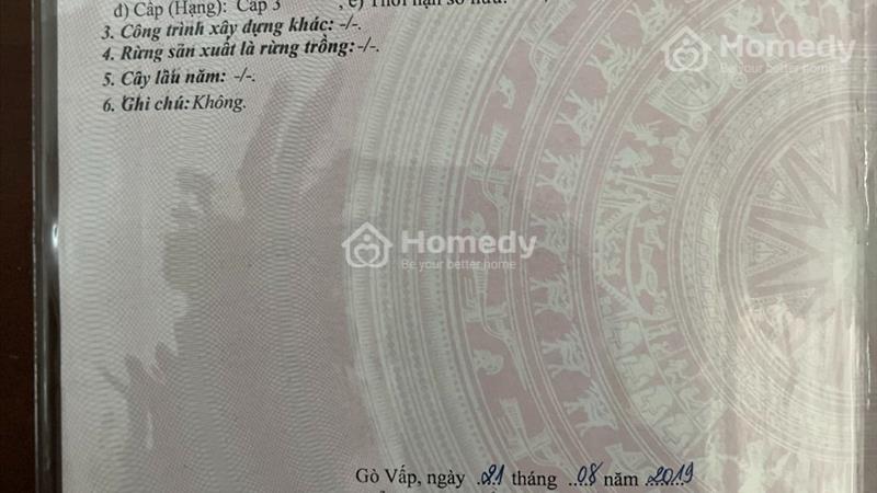 Cần bán nhà ở phường 3 Gò Vấp, đối diện Sunny Plaza. - Ảnh 2
