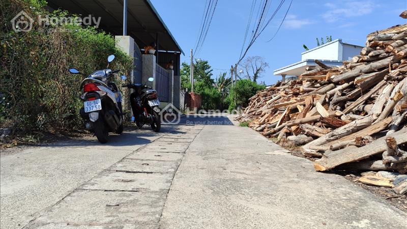 Chủ ngộp cần bán gấp lô đất sau lưng chợ Long Điền - Ảnh 3