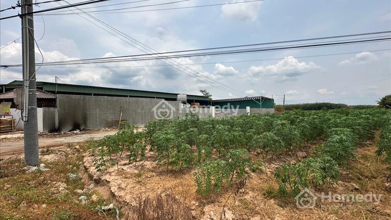 Thanh Lý Lô Đất Ngay Tp Tây Ninh Giá Chỉ 270 Triệu/ 150m2 Thổ Cư Full - Ảnh 2