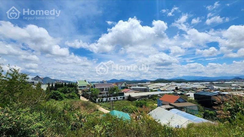 View đẹp đường huỳnh tấn Phát - 202m2 - sổ riêng - mặt tiền đường - Ảnh 3