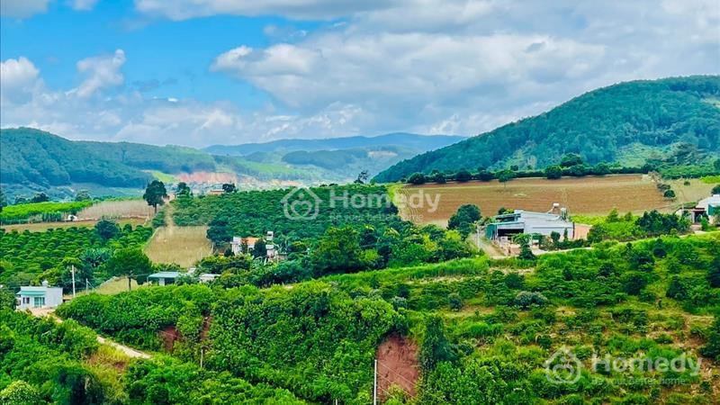 Bán đất nền nghỉ dưỡng thị trấn Nam Ban Lâm Hà Lâm đồng Đà lạt - Ảnh 3