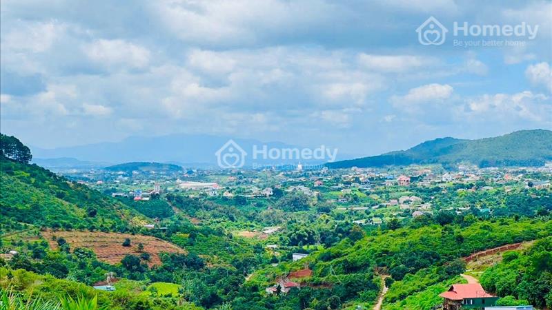 Bán đất nền nghỉ dưỡng thị trấn Nam Ban Lâm Hà Lâm đồng Đà lạt - Ảnh 8