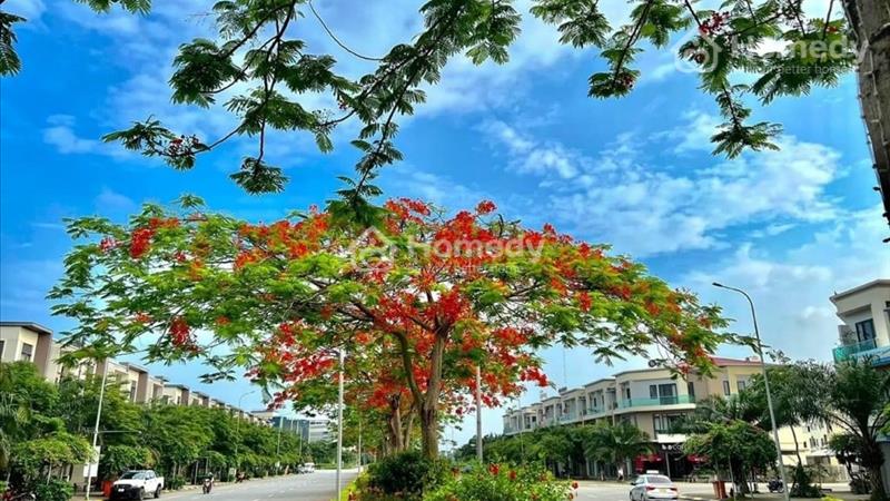 Khám phá không gian sống lý tưởng tại biệt thự vườn hoa bên sông tào Khê thơ mộng - Ảnh 4