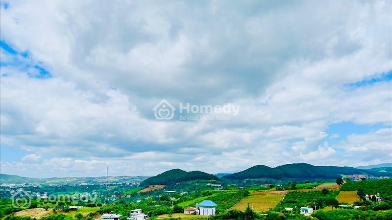 Bán đất nền nghỉ dưỡng thị trấn Nam Ban Lâm Hà Lâm đồng Đà lạt - Ảnh 7