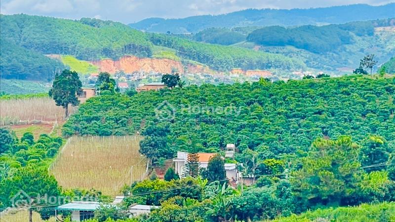 Bán đất nền nghỉ dưỡng thị trấn Nam Ban Lâm Hà Lâm đồng Đà lạt - Ảnh 1