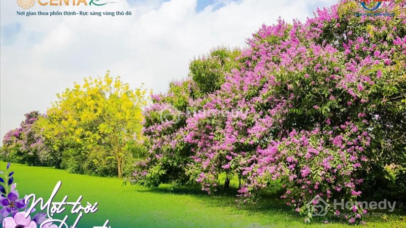 Khám phá không gian sống lý tưởng tại biệt thự vườn hoa bên sông tào Khê thơ mộng - Ảnh 10