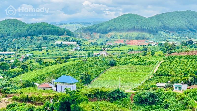Bán đất nền nghỉ dưỡng thị trấn Nam Ban Lâm Hà Lâm đồng Đà lạt - Ảnh 2