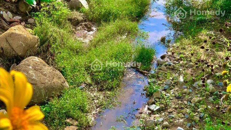 Bán đất nền nghỉ dưỡng thị trấn Nam Ban Lâm Hà Lâm đồng Đà lạt - Ảnh 6