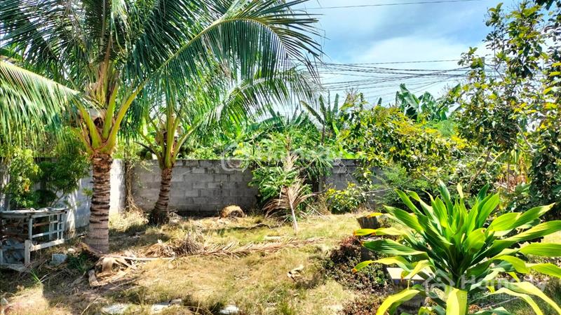 Sở Hữu Ngay Lô Đất Đẹp Vị Trí Trung Tâm Tp Nha Trang Với Giá Cực Tốt - Ảnh 2