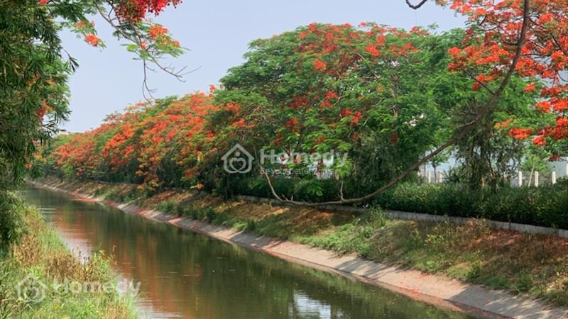 Khám phá không gian sống lý tưởng tại biệt thự vườn hoa bên sông tào Khê thơ mộng - Ảnh 5