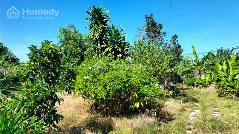 Sở Hữu Ngay Lô Đất Đẹp Vị Trí Trung Tâm Tp Nha Trang Với Giá Cực Tốt - Ảnh 4