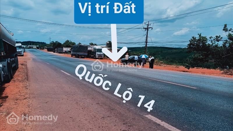 Cần Thanh Lý Gấp Đất Mặt Tiền Quốc Lộ 14 - Bán Lổ Một Nữa Giá Lúc Mua  - Ảnh 2