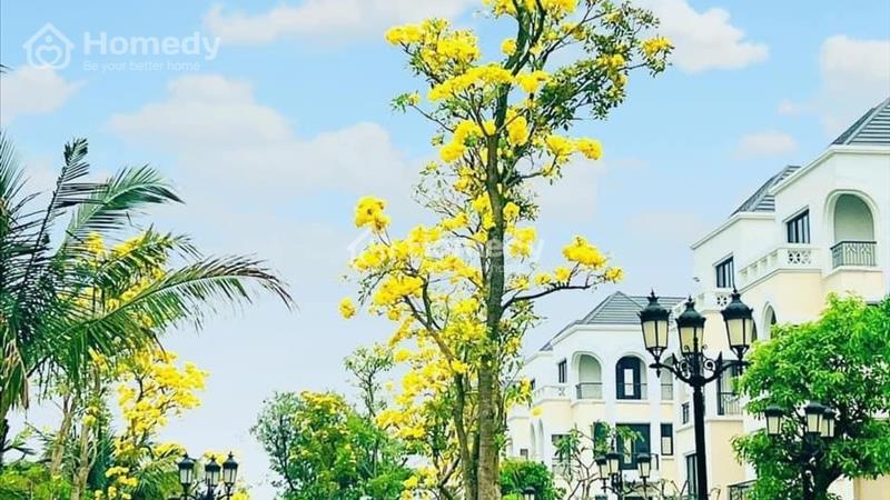 Bán Shop xẻ khe mặt đường đôi BX sát chung cư, gần TT tiệc cưới Vin OCP2 giá 19 tỷ  - Ảnh 8