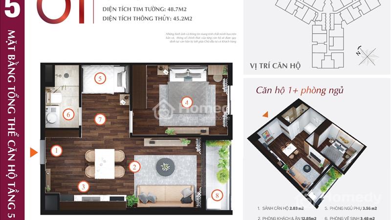 Bán Căn CH01 - Tulip - View Cầu Rào - Gía Rẻ Nhất Dự Án LH:0783.599.666 - Ảnh 1