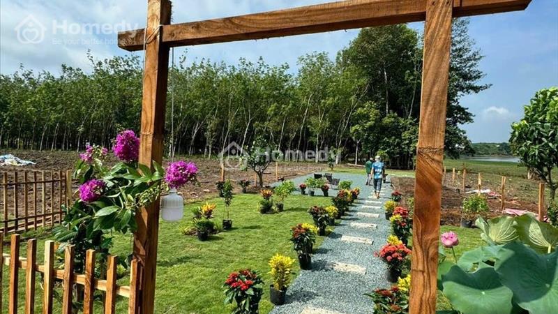Siêu Phẩm đất rẻ, view đẹp ngay Tân Quan, Hớn Quản - Ảnh 2