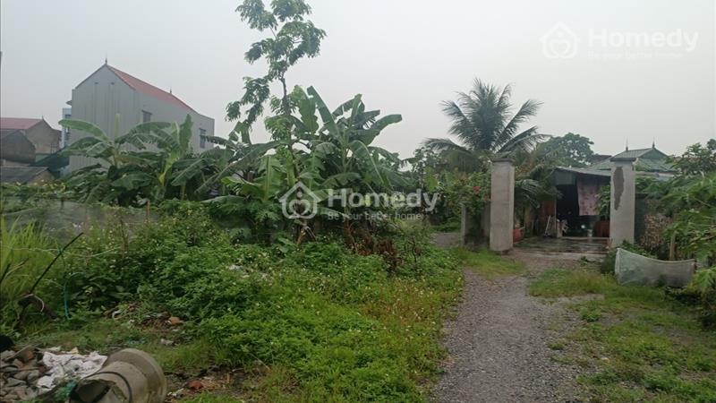 CHO THUÊ đất tại Thôn An Mỹ xã Đại Thắng huyện Phú Xuyên TP Hà Nội - Ảnh 1