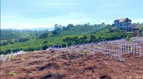 Đất Ven đà Lạt giá rẻ 830/Sổ riêng thổ cư/351m2/ cách chợ Đà Lạt 33km 0919830239 - Ảnh 3
