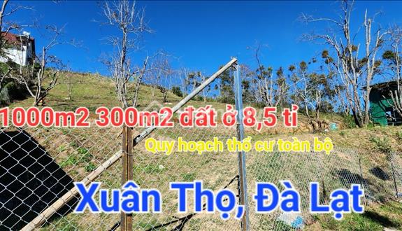Bán đất Xuân thọ- đà Lạt , view đẹp, đường ô tô thoải mái - Ảnh 1