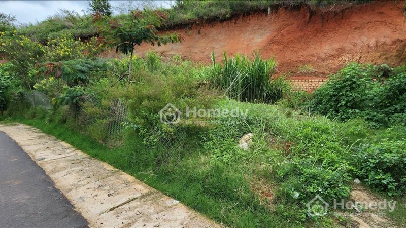 Bán đất xuân thọ, giá rẻ , siêu hời, đường bằng phẳng - Ảnh 2