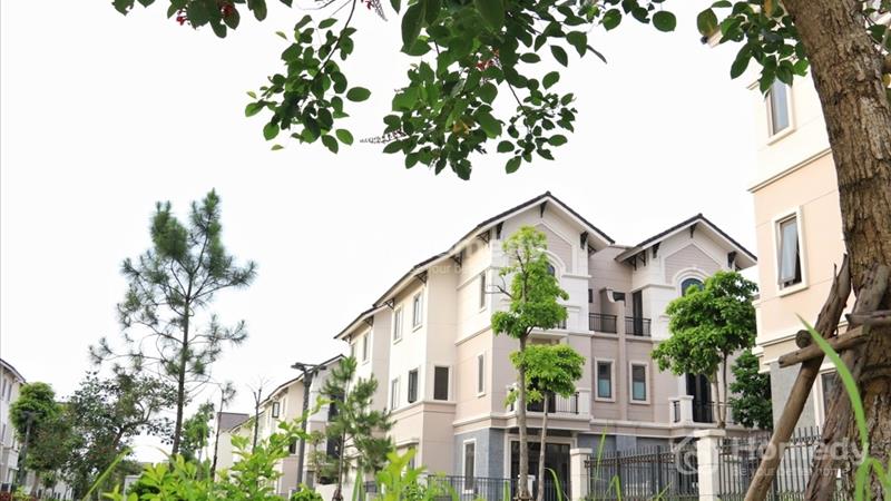 🔴 [Thấu Hiểu để Thương Yêu] BTSL 135m2 kiến trúc Singapore #CentaCity. Rẻ hơn mặt bằng 333 triệu - Ảnh 2