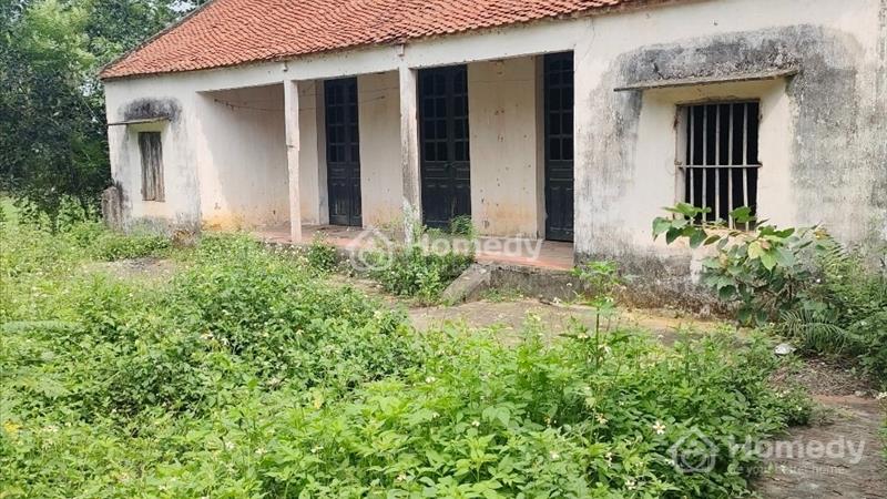 Bán đất thổ cư cộng đất vườn, diện tích 1800m, thích hợp làm nhà vườn. - Ảnh 4