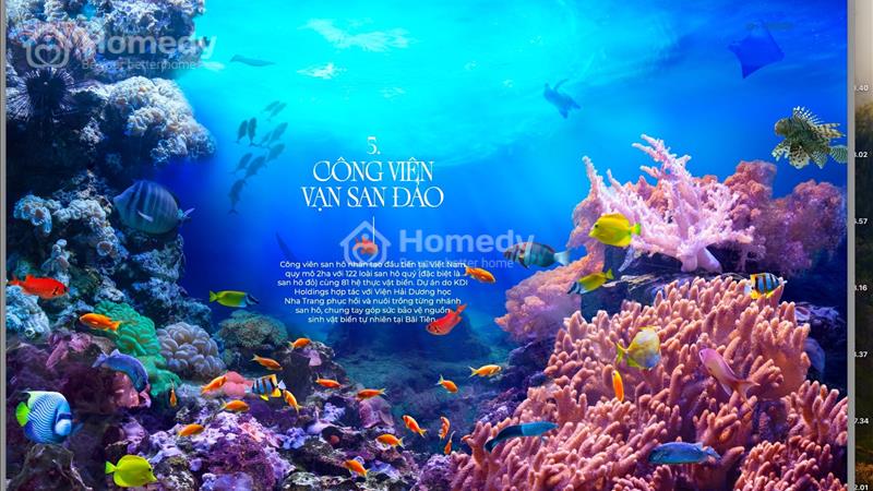 Sở hữu căn hộ biển Nha Trang Libera với số vốn chỉ từ 119 triệu, bàn giao full nội thất 5 sao - Ảnh 15