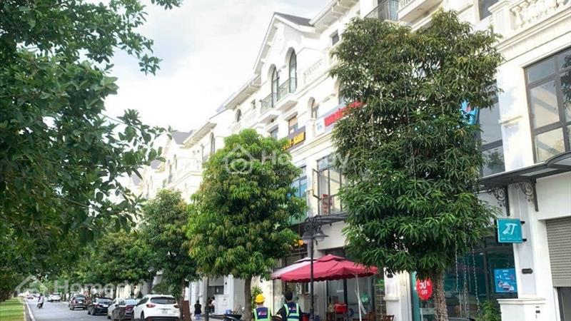 Shophouse Ngọc Trai 08- 71m2-Đường 52m-sổ lâu dài-sát 40 tòa chung cư vinhomes ocean park gia lâm - Ảnh 3