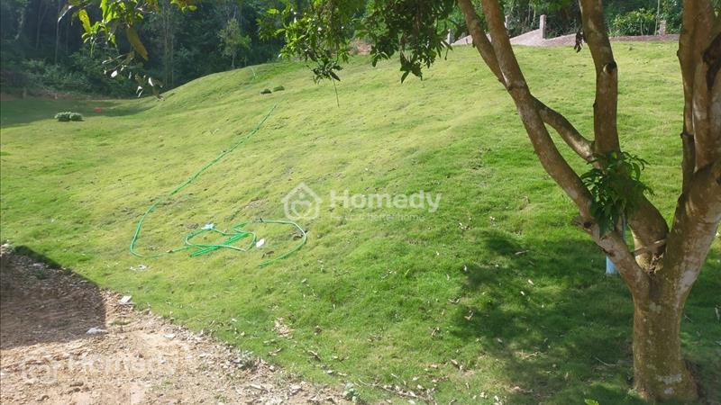 Cơ hội sở hữu 7.000m2 đất thành phố Hòa Bình giá chỉ vài trăm nghìn một mét. - Ảnh 13