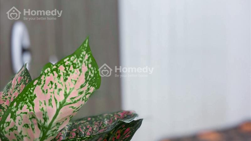 Cho thuê căn hộ 2PN Bancol siêu to gần sân bay, CV Hoàng Văn Thụ chỉ từ 7tr - Ảnh 8