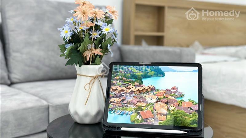 Cho thuê căn hộ 40m2 1PN gần CV Lê Thị Riêng - CMT8 - Ảnh 5