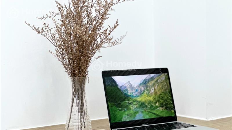 Cho thuê căn hộ 40m2 1PN gần CV Lê Thị Riêng - CMT8 - Ảnh 12