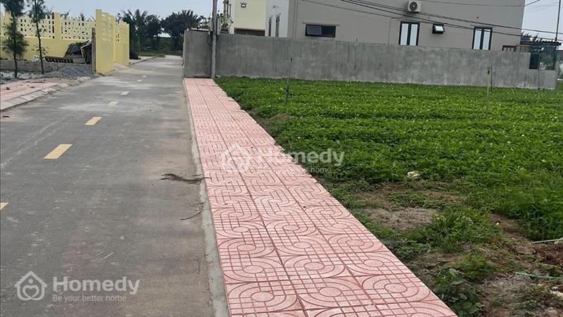 Bán đất mặt biển Quất Lâm sổ đỏ vĩnh viễn - Full thổ cư - Giá rẻ chỉ 1,3 Tỷ/Lô - Ảnh 4