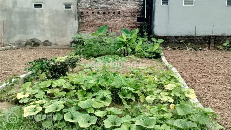 Nhỉnh Tỷ Có Ngay Mảnh đất đường ô Tô Tránh tại tự nhiên thường tín  - Ảnh 1