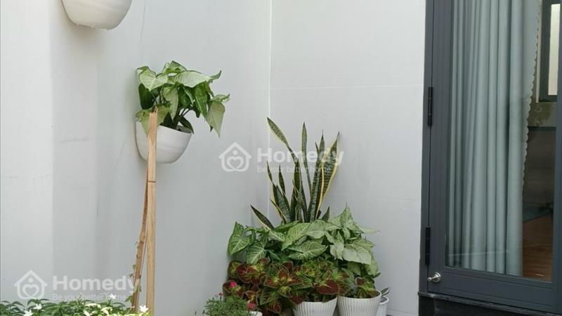 🔵Cần Chuyển Nhượng Gấp Homstay 61.4m2 Huỳnh Thúc Kháng, Bình Tân, LaGi Giá Ngộp - Ảnh 8