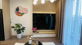 Quỹ căn hộ 2 ngủ đẹp chính chủ gửi bán cam kết giá tốt nhất tại Dự Án Vinhomes Ocean Park - Ảnh 4