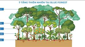 Độc quyền phân khu Blue Forest duy nhất 287 căn thanh toán 3 tỷ 5 nhận nhà  - Ảnh 42