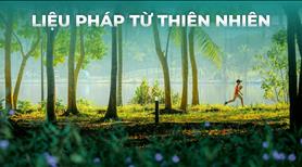 Độc quyền phân khu Blue Forest duy nhất 287 căn thanh toán 3 tỷ 5 nhận nhà  - Ảnh 47