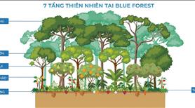 Độc quyền phân khu Blue Forest duy nhất 287 căn thanh toán 3 tỷ 5 nhận nhà  - Ảnh 43
