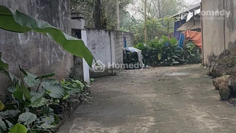 Bán đất thổ cư cộng đất vườn diện tích 650m , sát khu quy hoạch thành phố vệ tinh. - Ảnh 1