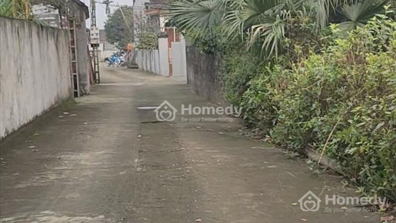 Bán đất thổ cư cộng đất vườn diện tích 650m , sát khu quy hoạch thành phố vệ tinh. - Ảnh 3