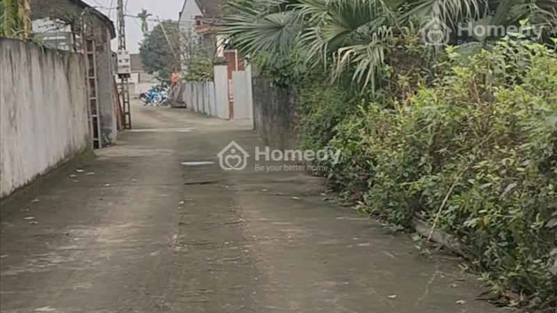 Bán đất thổ cư cộng đất vườn diện tích 650m , sát khu quy hoạch thành phố vệ tinh. - Ảnh 4