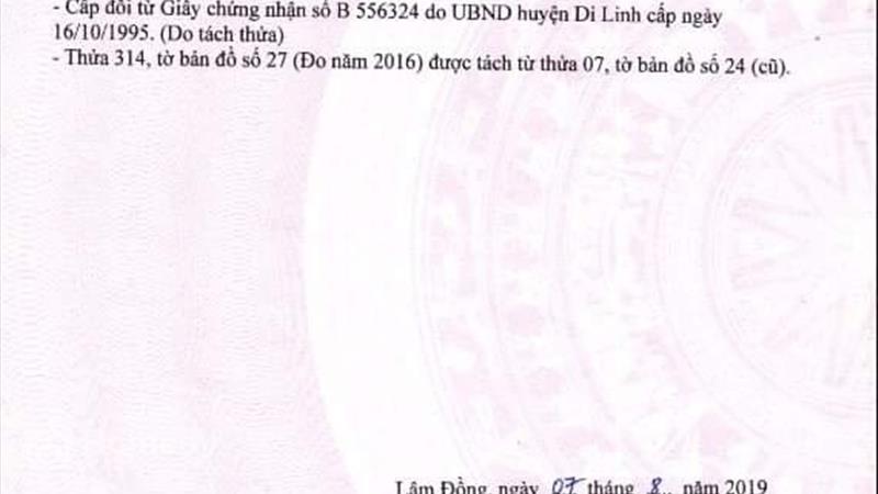 CẦN GẤP : Bán lô đất trục chính đường Liên Xã Hòa Ninh - Ảnh 5