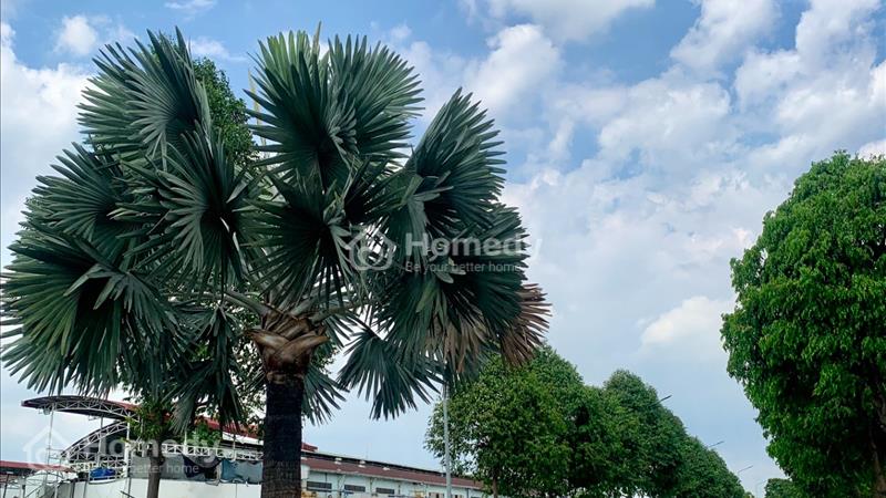 Chính chủ cần bán căn hộ 2PN-2WC 58m2 Thanh Bình Residence, Thuận An. - Ảnh 15