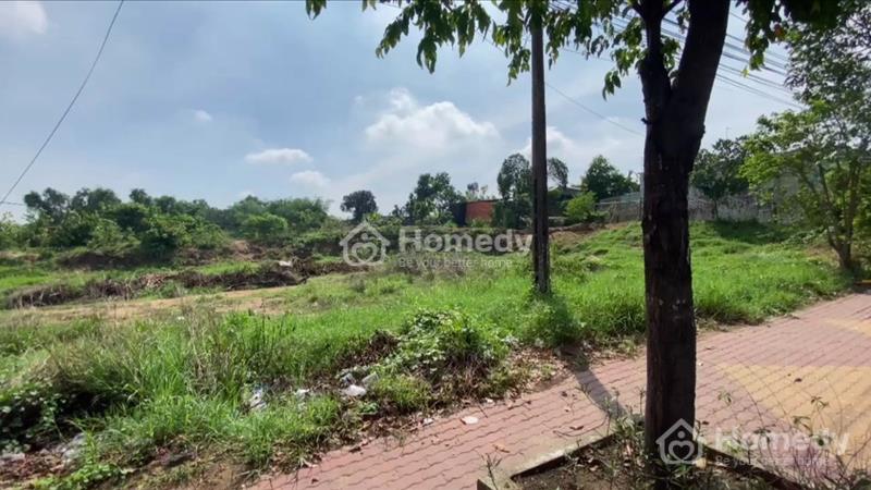 Đất mặt tiền đường nguyễn chí thanh (dt744) hiệp an thủ dầu một bình dương - Ảnh 5