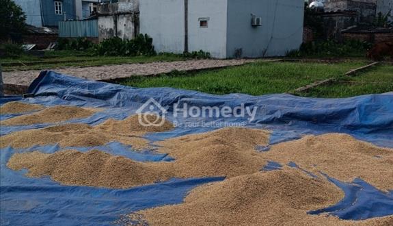 Bán đất đấu giá CŨ tại Đông Anh, Hà Nội. - Ảnh 1