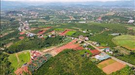 Bán lô đất ngay mặt tiền đường nhựa Nam Hà, sẵn thổ cư chỉ 590 triệu - Ảnh 7
