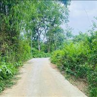  bán lô đất có diện tích 2000m2 trong đó có 200m2 thổ cư, còn lại là cây lâu năm