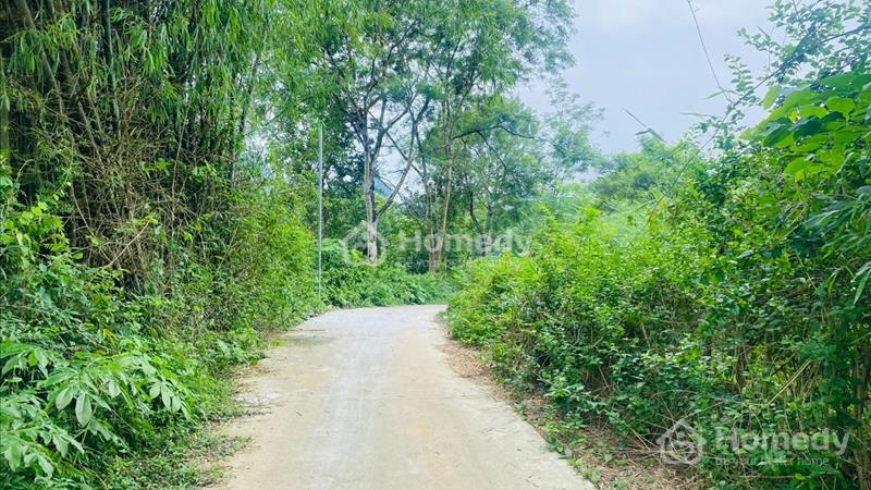  bán lô đất có diện tích 2000m2 trong đó có 200m2 thổ cư, còn lại là cây lâu năm - Ảnh 1