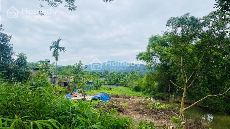  bán lô đất có diện tích 2000m2 trong đó có 200m2 thổ cư, còn lại là cây lâu năm - Ảnh 2