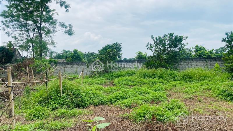  bán lô đất có diện tích 2000m2 trong đó có 200m2 thổ cư, còn lại là cây lâu năm - Ảnh 3